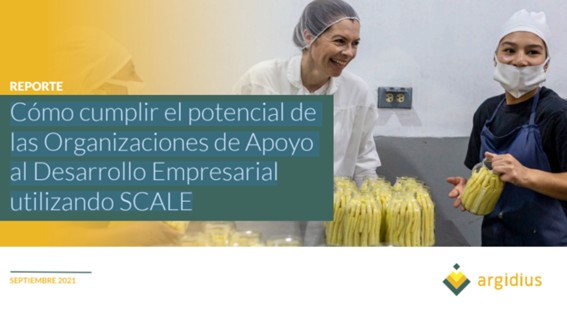 Cómo cumplir el potencial de las Organizaciones de Apoyo al Desarrollo Empresarial utilizando SCALE